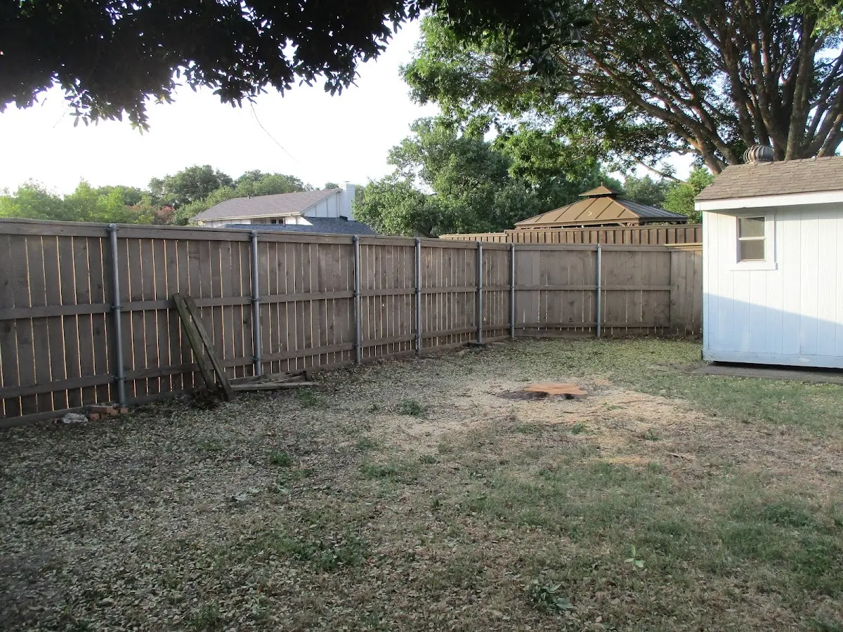 Cleared yard after professional tree removal in Park Valley